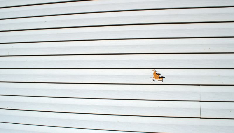 Vinyl Siding Repair Work